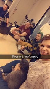 2018 Volunteering at the Free to Live Sanctuary 